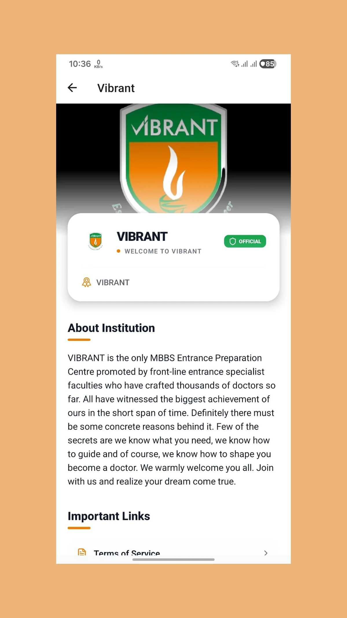 Vibrant online plus screenshot